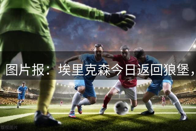 图片报：埃里克森今日返回狼堡，大概率会和球队商讨未来去向