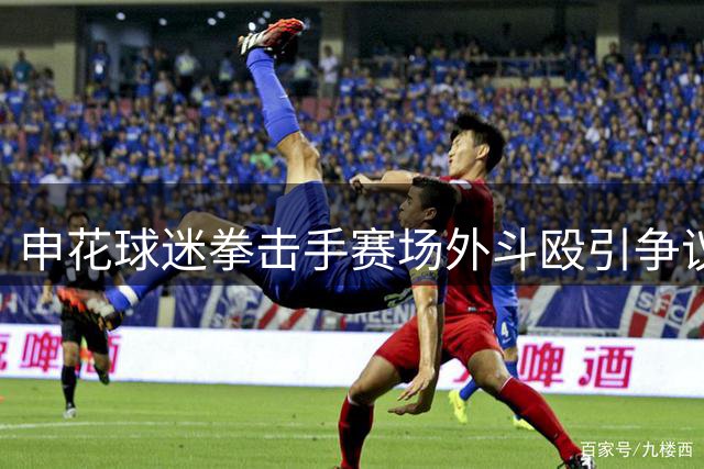 申花球迷拳击手赛场外斗殴引争议 警方介入调查