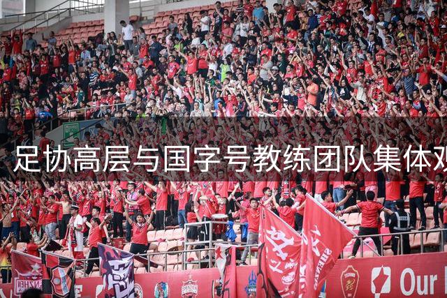 足协高层与国字号教练团队集体观战 U17小将力克西甲豪门梯队