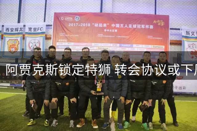 阿贾克斯锁定特狮 转会协议或下周尘埃落定
